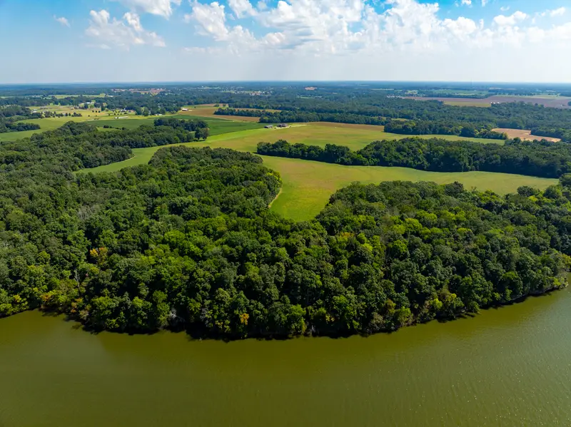 Peninsula of mature forest on the water