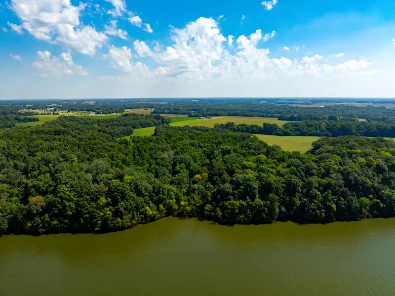 Mature hardwoods along the shoreline