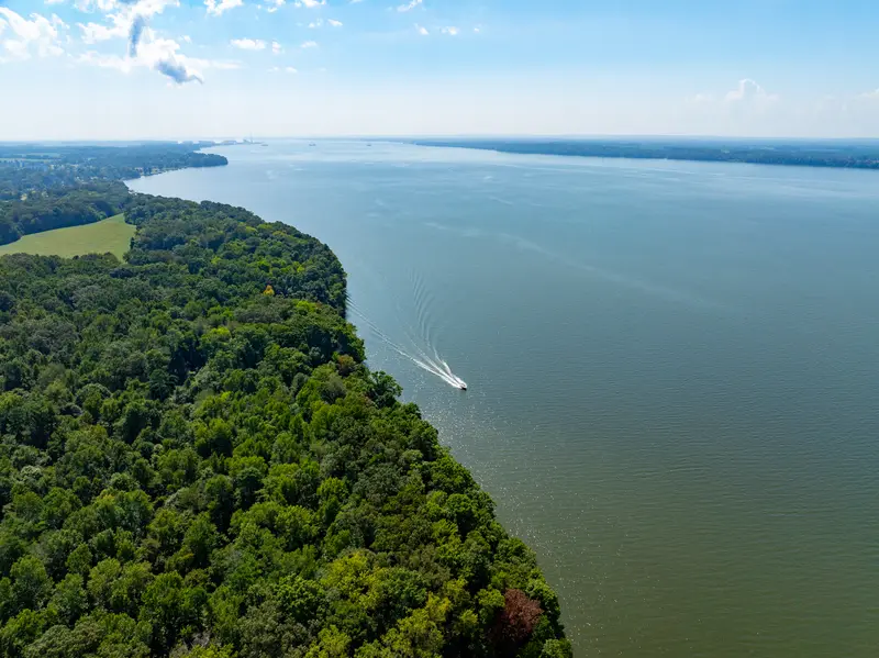 Boat cruising past the wooded shoreline