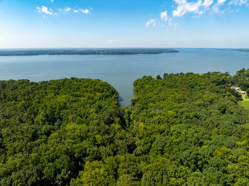 Quiet inlet between wooded banks