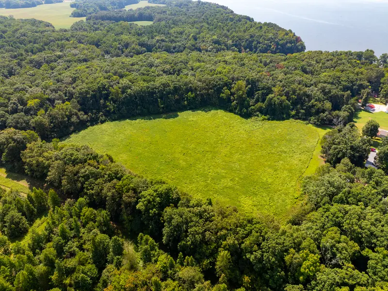 Heart-shaped meadow hidden in mature forest