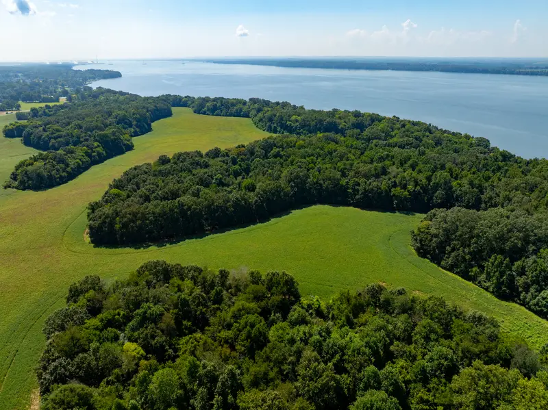 Forest fingers and meadows along the lake