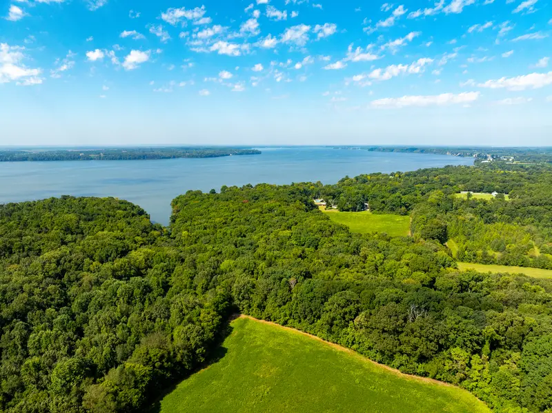 Forest and meadow with lake views