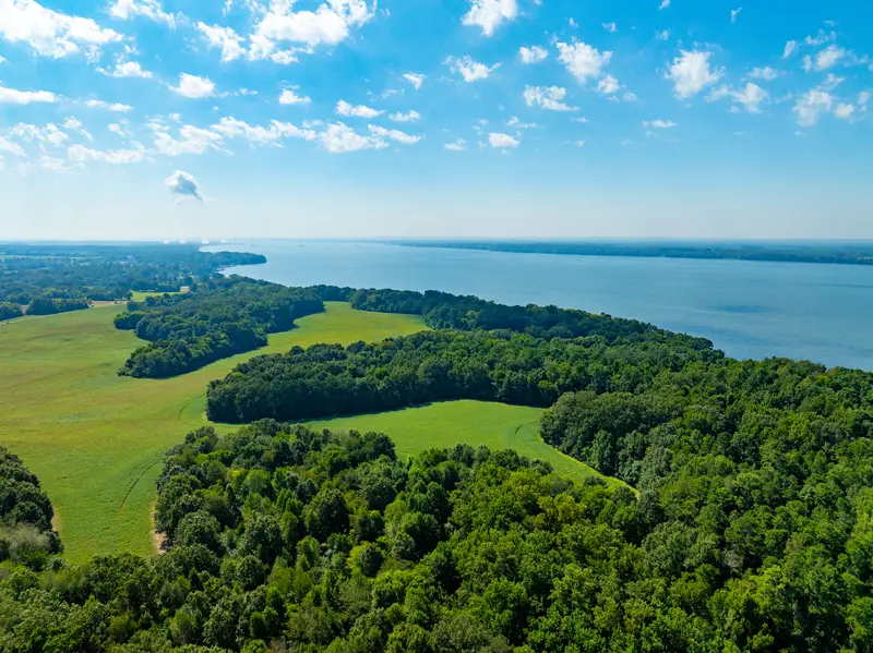 Pasture and tree lines above the lake