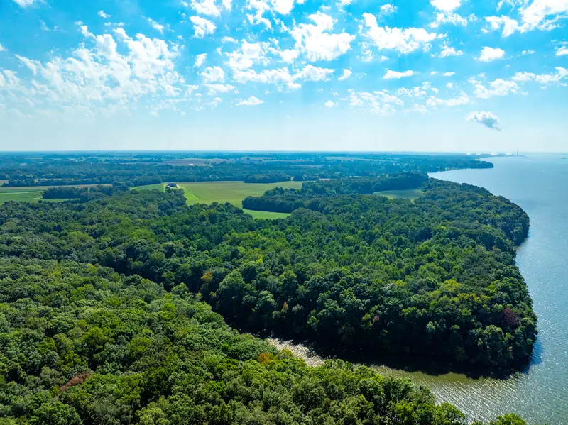 Wooded point on Lake Wheeler