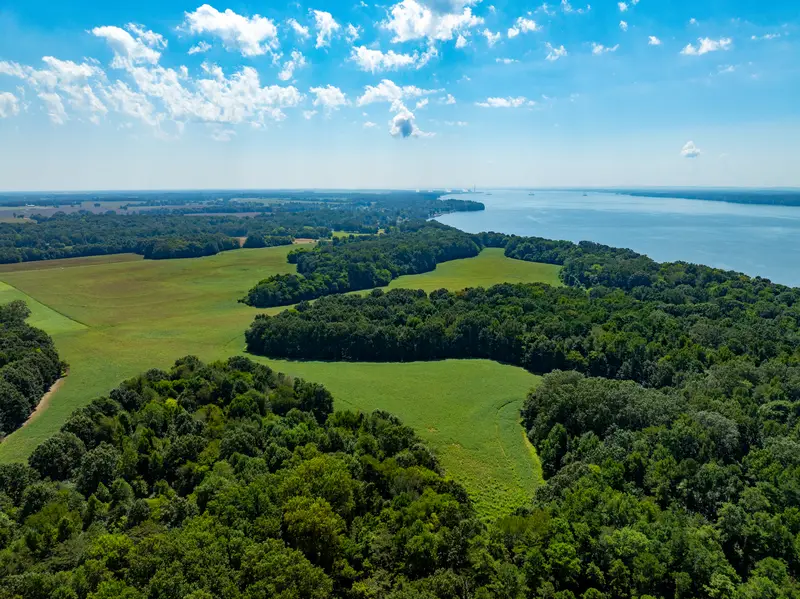Fields and forest with the lake beyond